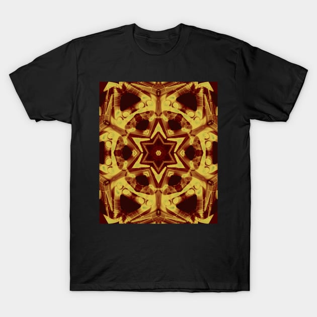 Star mandala in brown T-Shirt by hereswendy